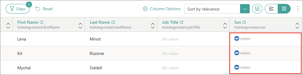 Search results with the Ssn values masked and a mask icon in each cell, highlighted